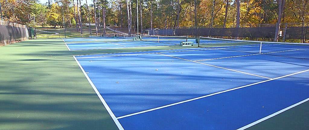 Tennis Pickleball Elkins Lake Recreation